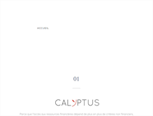Tablet Screenshot of calyptus.net